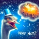 why_not_3n